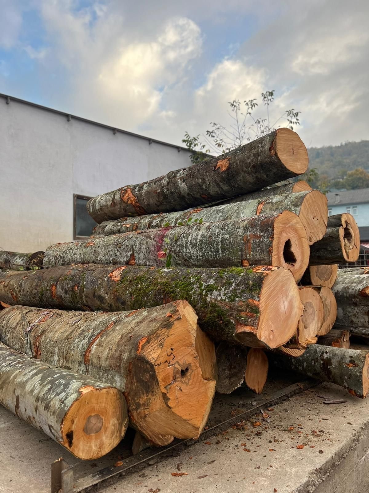 Industrielle Forstlogistik von Joe's Holz