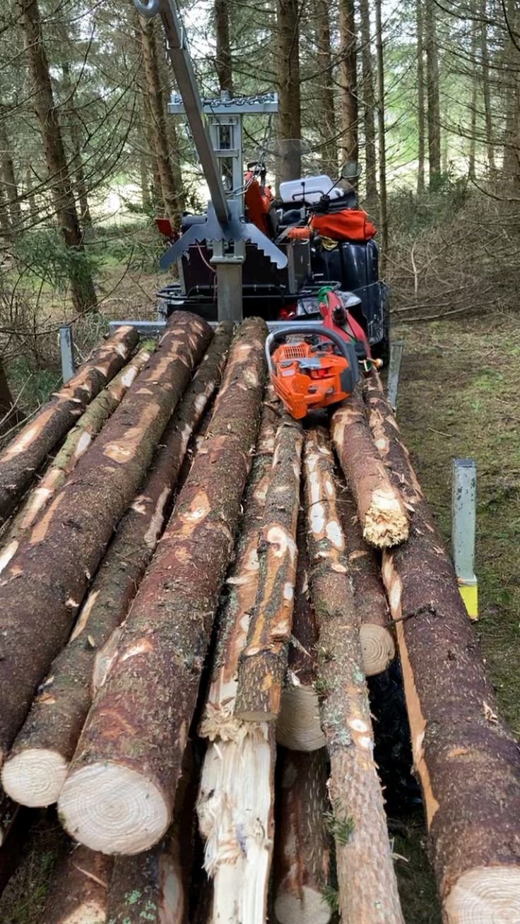 Verladen von Stämmen auf einen LKW